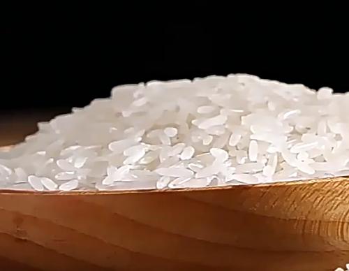 ��Ķ��è���׳����״�������10kg20�ﵱ������˿����