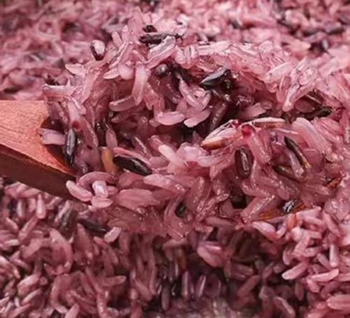 ̨�巹��ר���� �׷������������װ���������̩�����ѪŴ������