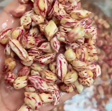 �����ز�������