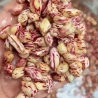 �����ز�������