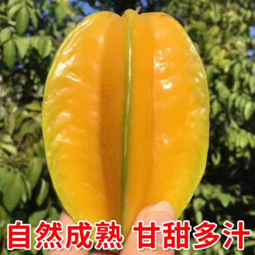 ������������5��