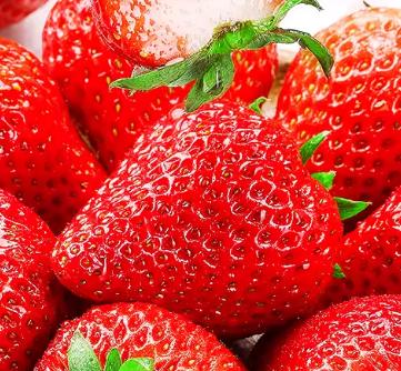 ���ں������Ͳ�ݮ99����ţ�̴���������ˮ��