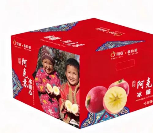 ���ڰ����ձ�����ƻ��