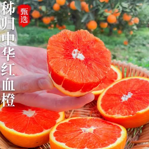 Ѫ������ˮ�������л�����ӵ����������ϸ�������������