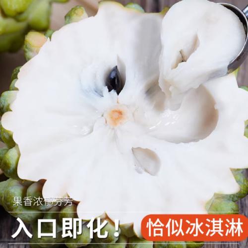 ���ȹ�������ժ����֦