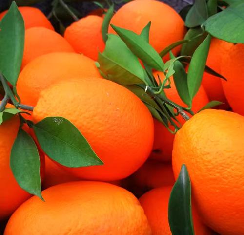 ������Ŧ�ɶ����