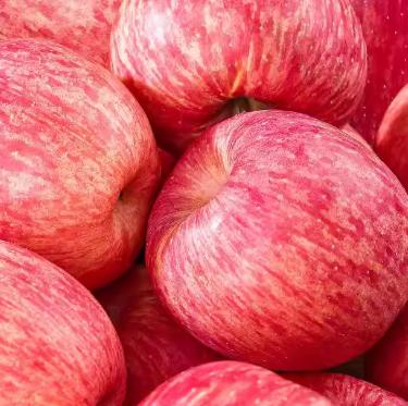 �����崨ƻ������ˮ����������ֱ��