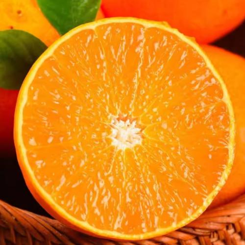 �Ĵ�����38�Ź�����