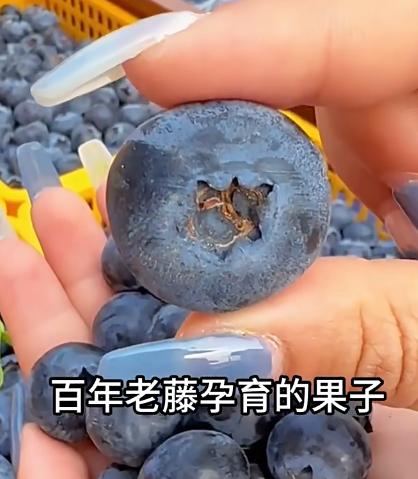 ��ݮ����ˮ��������÷�ʹ���ժ